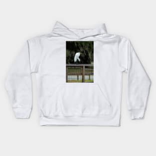 Great Egret, Lake Kissimmee, Florida Kids Hoodie